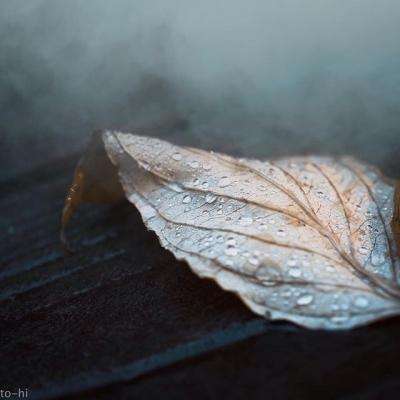 江南全站登录app下载